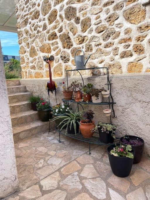 «  La Petite Maison » ....Des Grands Espaces... Saint-Maur-des-Fossés Eksteriør billede